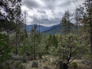 Read more about the article March Hike Through Fish Hatchery