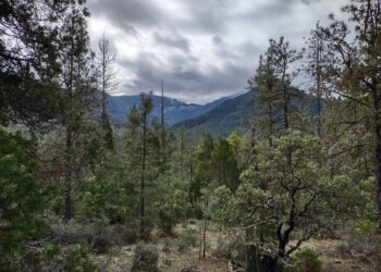 March Hike Through Fish Hatchery