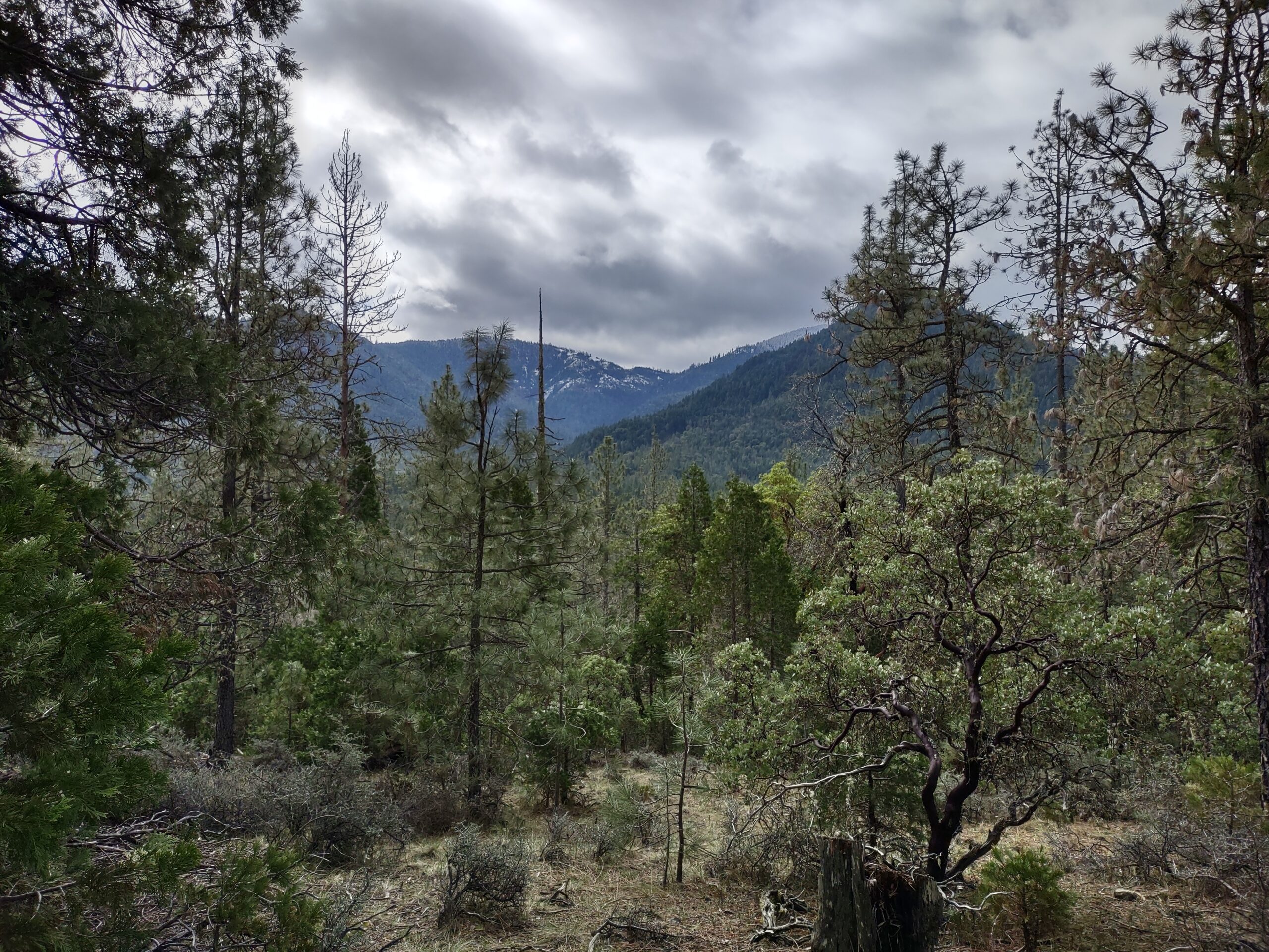 Read more about the article March Hike Through Fish Hatchery