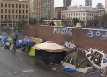 Homelessness: Options and Solutions from My Perspective