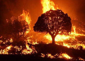 Preparedness Over Politics: A Community’s Guide to Fire Season