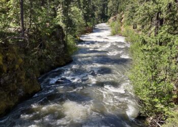 Scenic Getaway: A Day Trip to Union Creek and the Natural Bridge