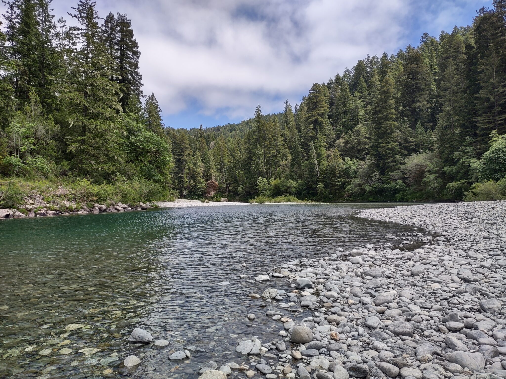 Clean Forest Program – Josephine County - A Voice Within