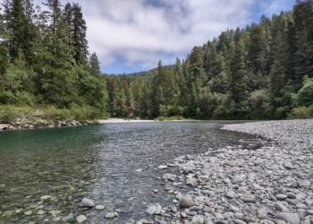 Clean Forest Program – Josephine County