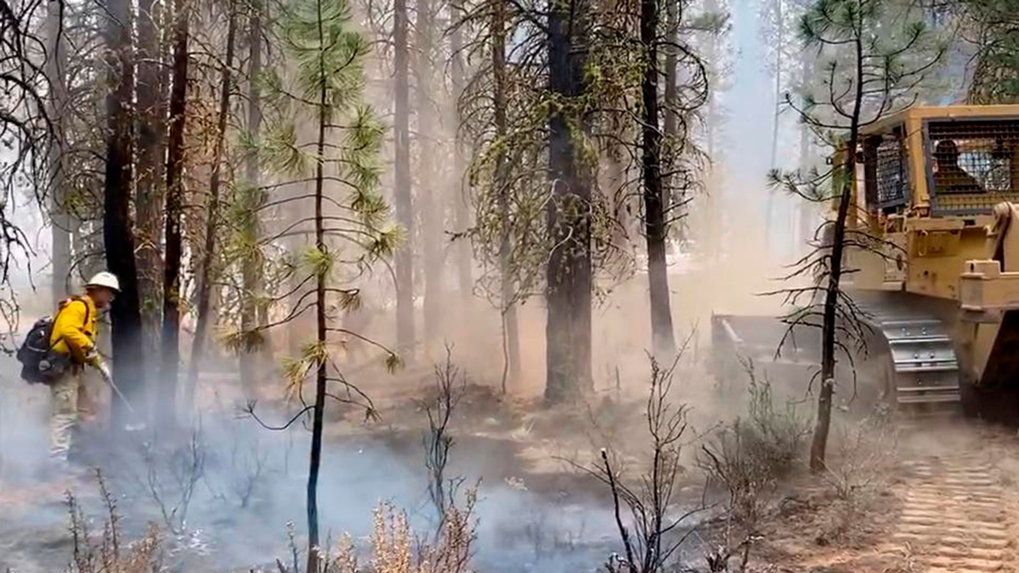 You are currently viewing Active Forest Management in Oregon: A Common‑Sense Look at What Went Wrong and the Path Forward